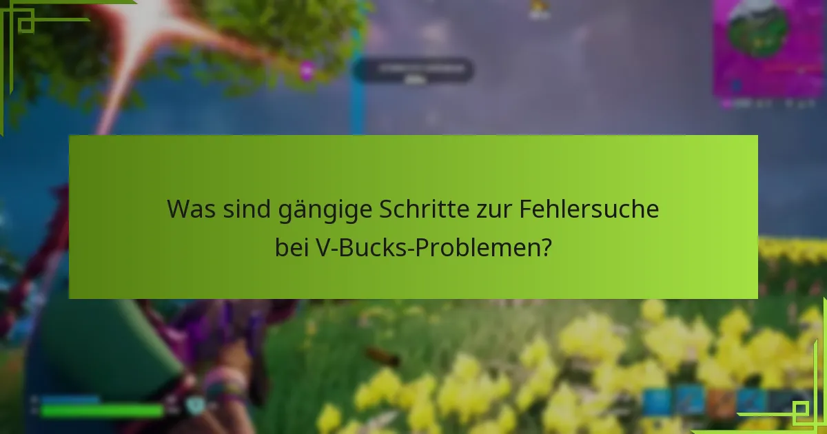 Was sollte ich über den Kauf von V-Bucks wissen?